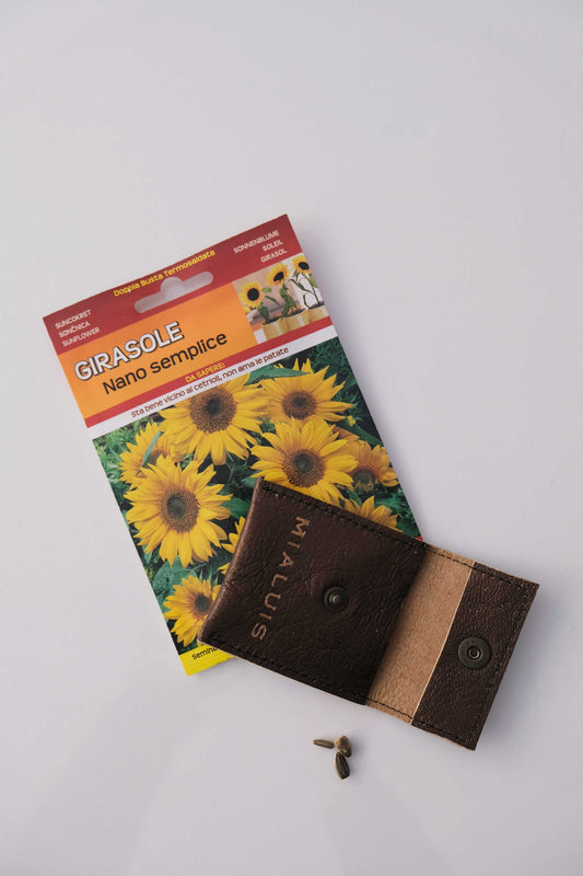 Dream Seed porta monete bronzo - Made in Italy -